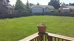 5th image of 9005 19th Ave E