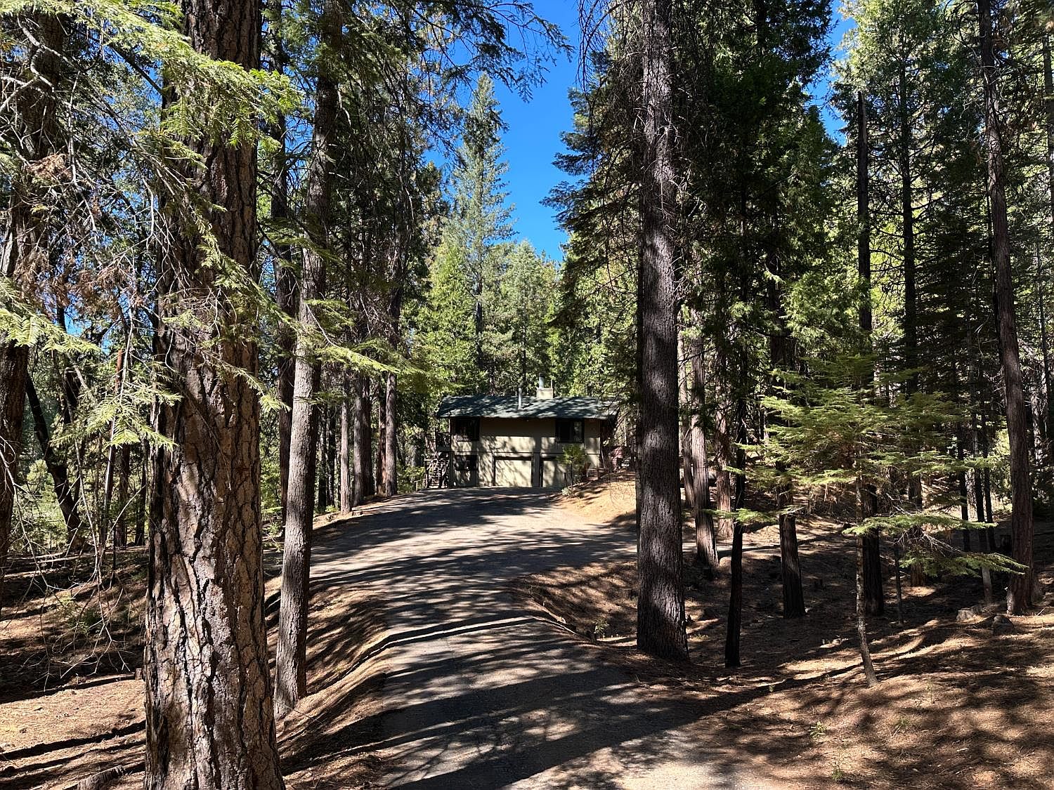 895 Meadow Dr — Sequoia Woods Country Club