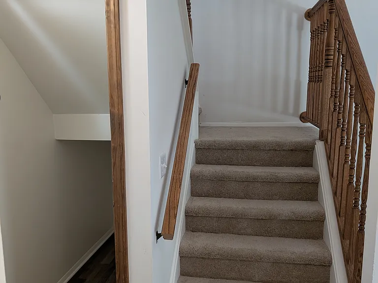 Stairs going up and under-stairs storage closet