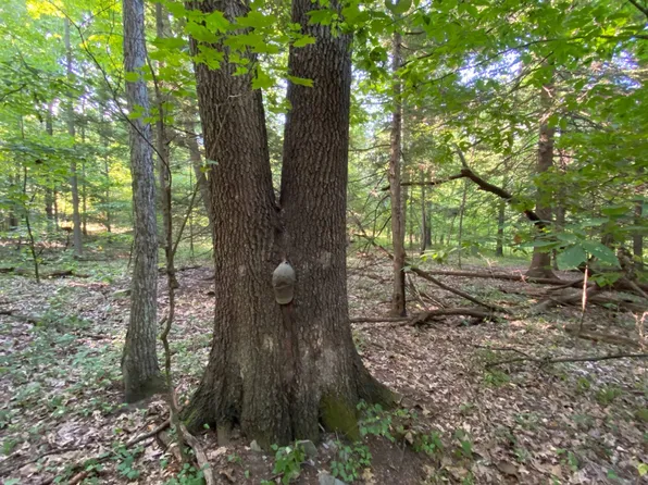 0 Snyder Rd, Ulster, PA 18850
