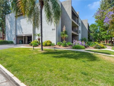 242 E Fern Ave, Redlands, CA, 92373