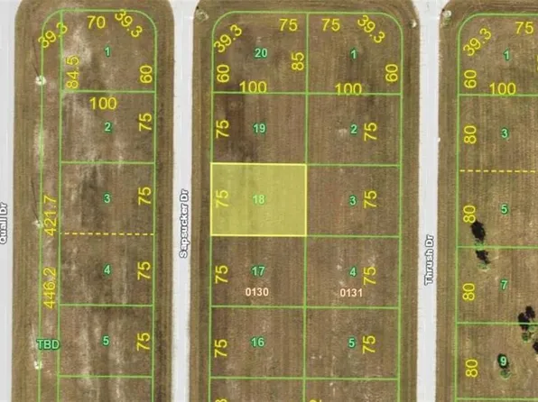 16 SAPSUCKER DRIVE LOT 18, PLACIDA, FL 33946