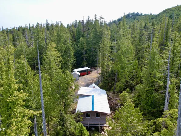 313 SE Bowhead Loop, Coffman Cove, AK 99918