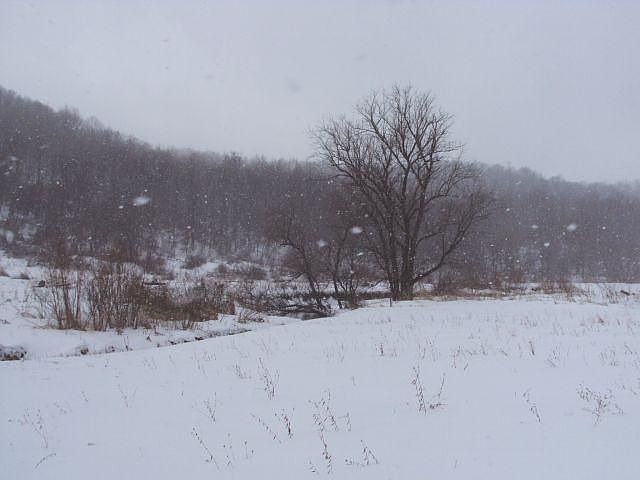 1st image of 58667 Meadow Ln