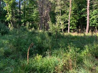 8634 N Hobart St, Free Soil, MI 49411