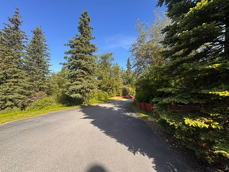 10100 Zermatt Cir — Photo 48