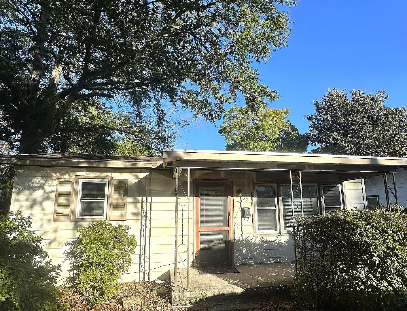 29 Covil Avenue — Photo 2
