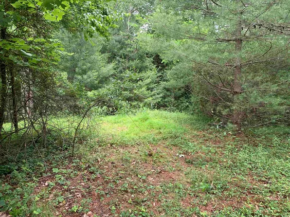 1731 Ferney Creek Rd NW, Willis, VA 24380