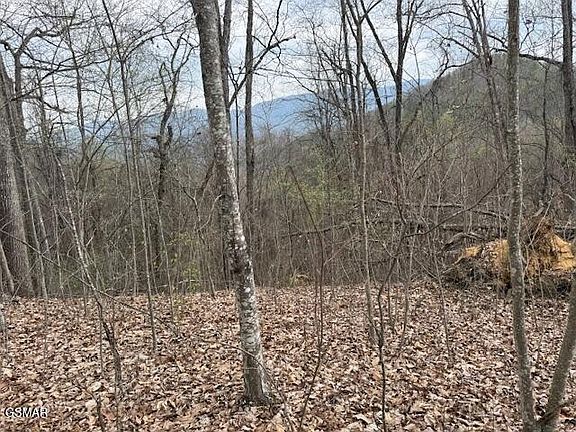 3rd image of 0 Bear Mountain Ln