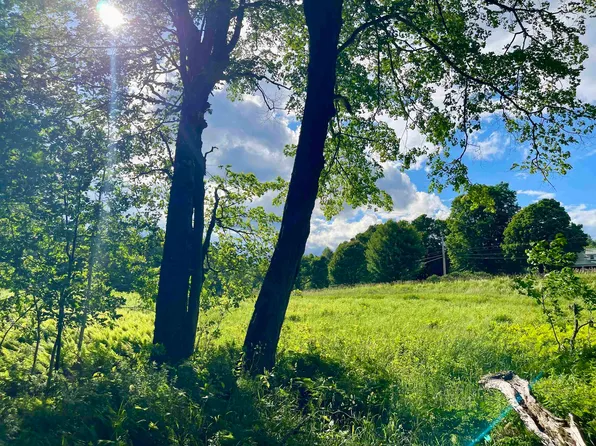 00 Old Farm Road, Burke, VT 05871