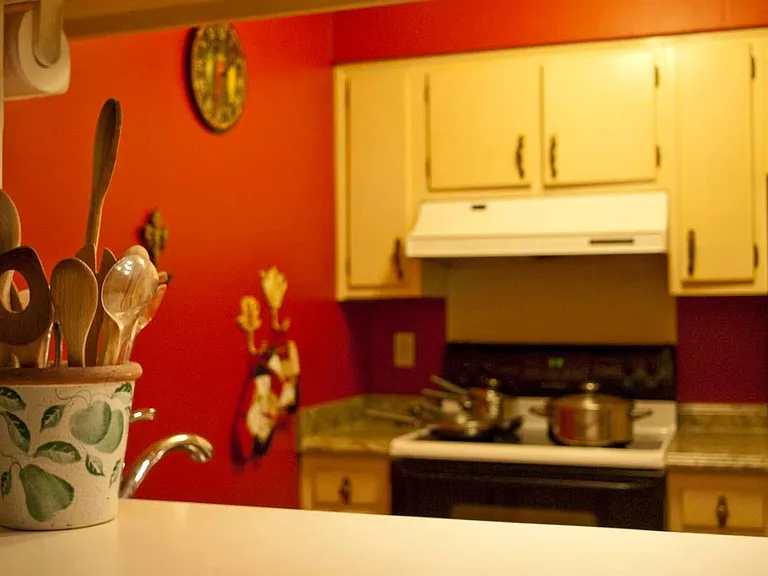 4007 Saint Charles Ave #214 — Photo 4