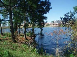 8342 Boyla Ct, Windermere, FL 34786