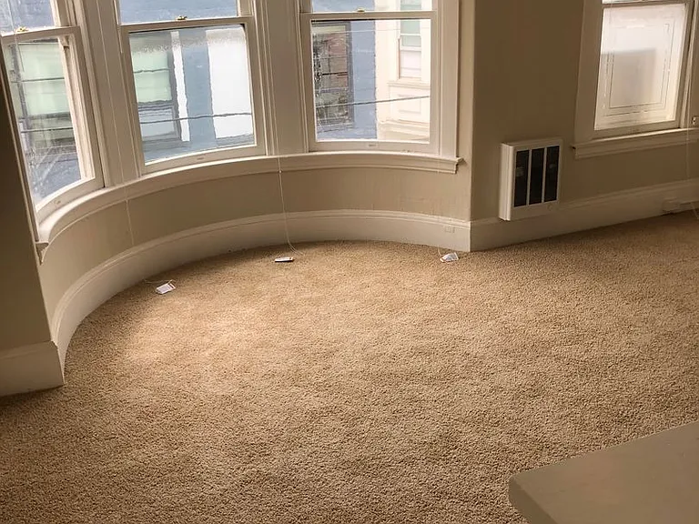 179 Oak Street 72 Lily St — Photo 8