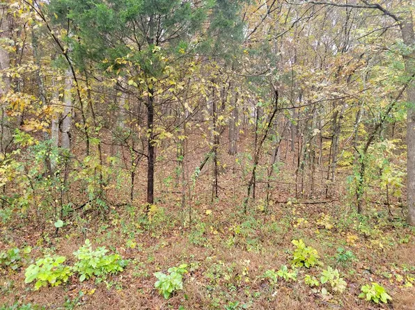 0 Spencer Ln, Big Sandy, TN 38221