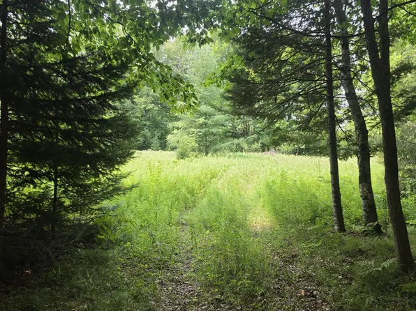 37.30 ACRES OLD RAIL ROAD, Wausaukee, WI 54177