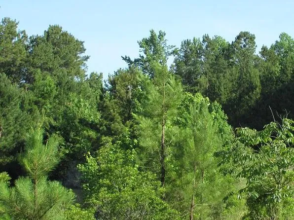 180 White Oak Lane, Burgaw, NC 28425