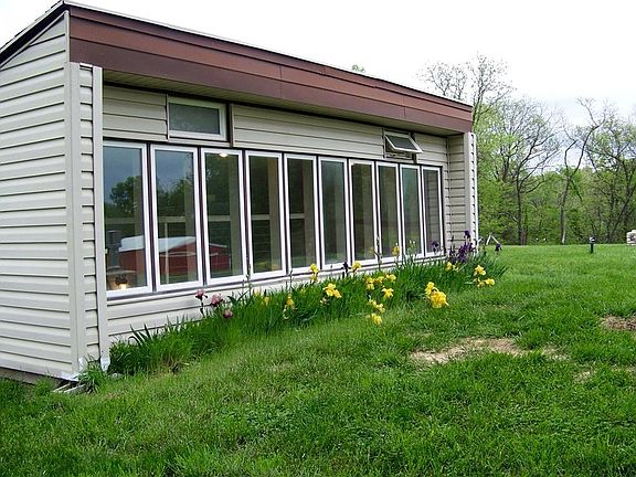 Spring flowers on roof