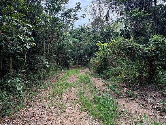2nd image of CARR 758 KM 2.7 BO LOS RIOS