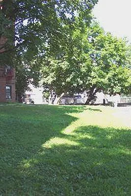 Sold by Douglas Elliman | media 38