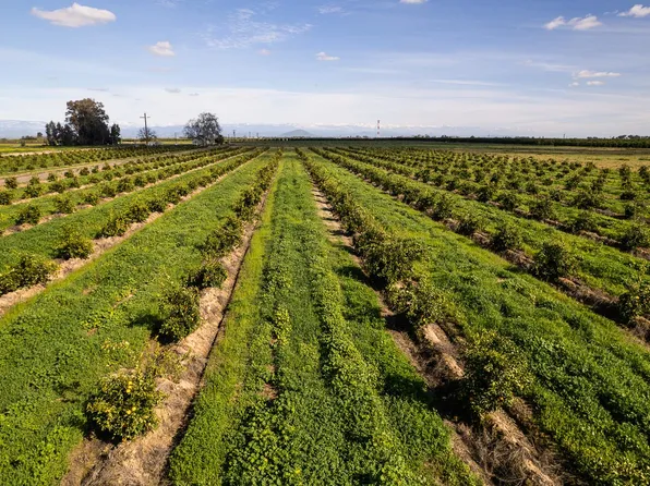 2334 S Temperance Ave, Fresno, CA 93725