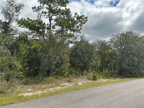 4th image of 12510 MARBLED GODWIT ROAD LOT 7