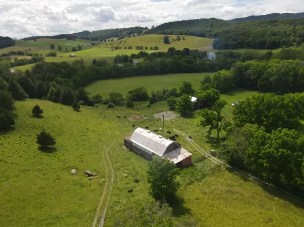 834 Skydusky Rd, Bland, VA 24315