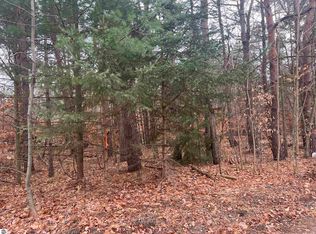 6024 Wallaker Rd, Benzonia, MI 49616