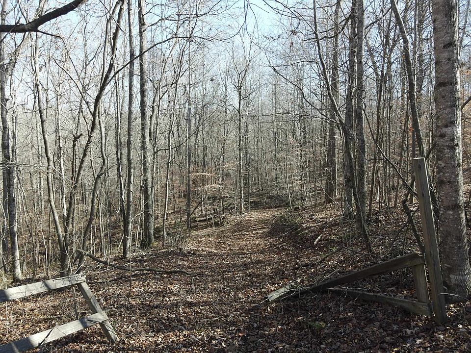 10th image of this home