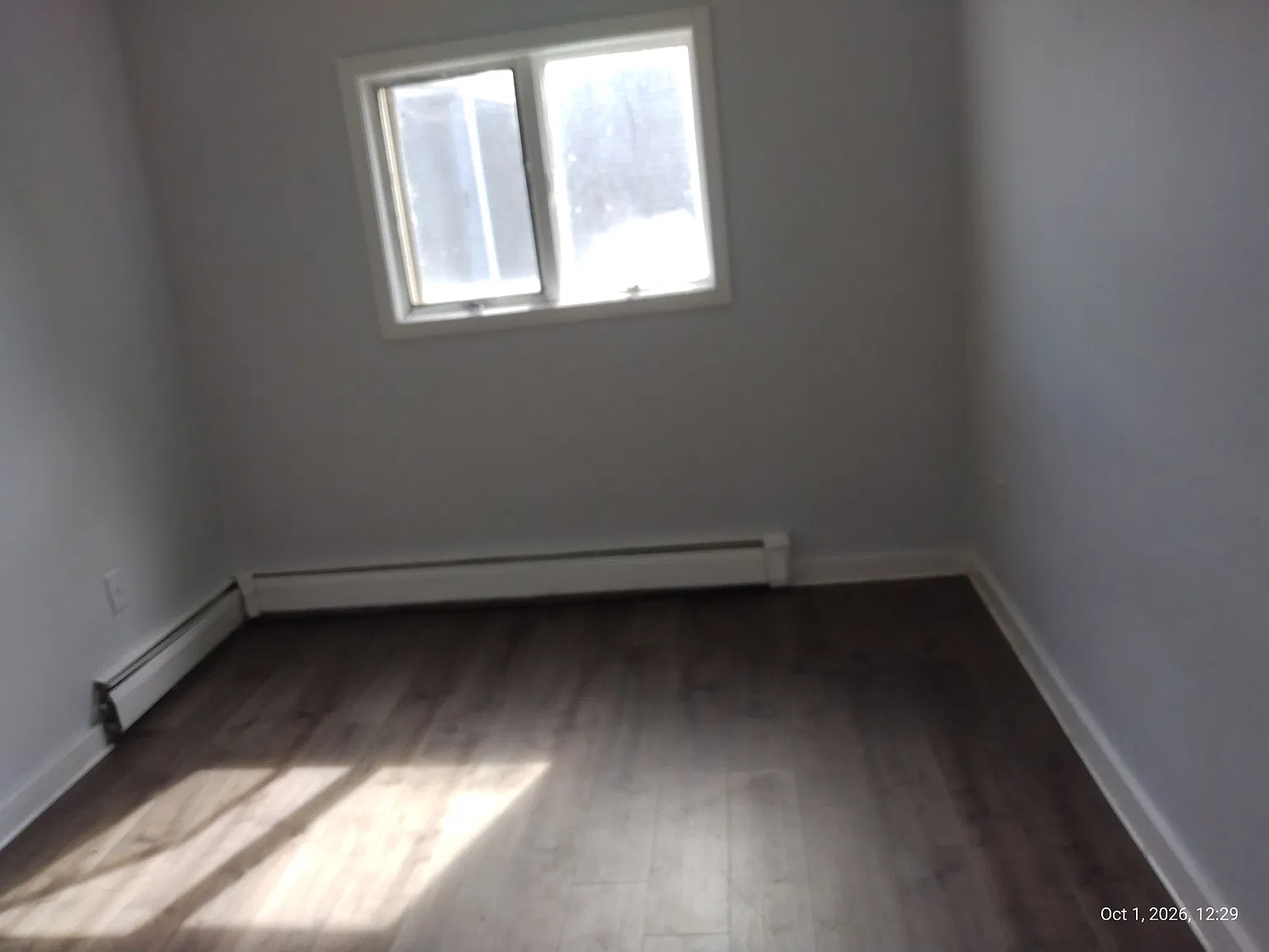 1 bed, $1,300 — Photo 4
