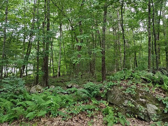 2nd image of 0 Old West Brookfield Rd