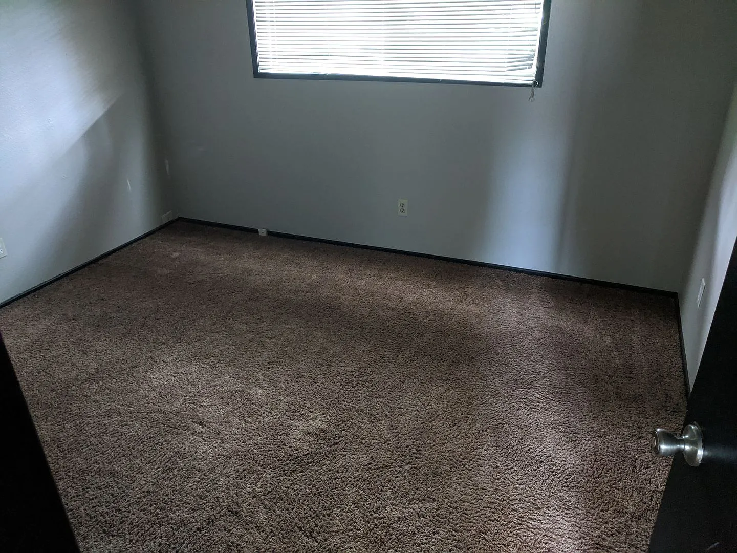WA811 — Photo 4