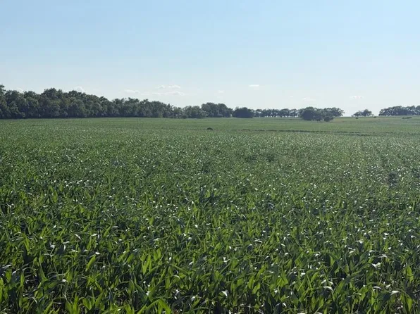 1100 Trail Rd, Herington, KS 67449
