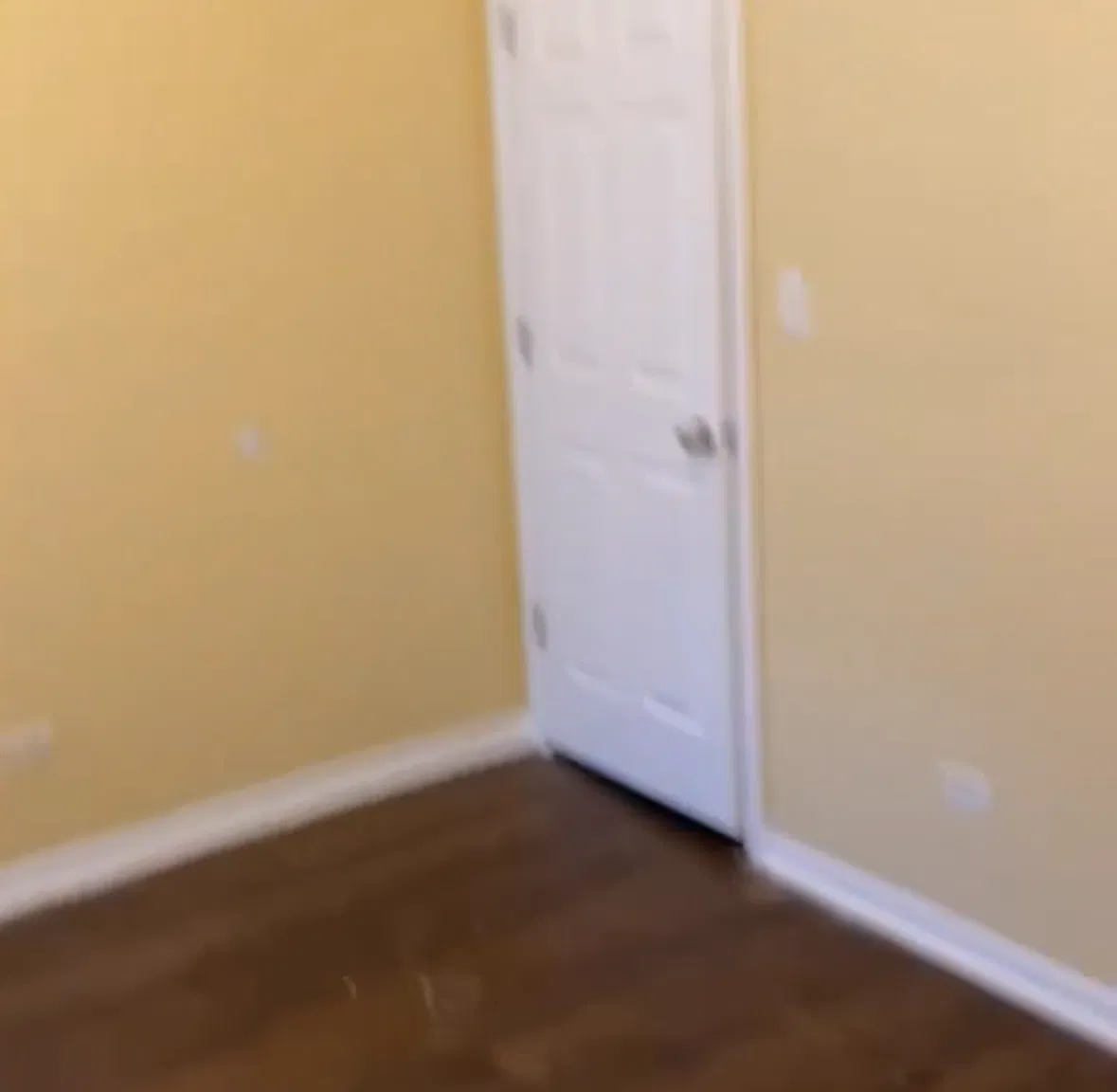 3 bed, $1,800 — Photo 2