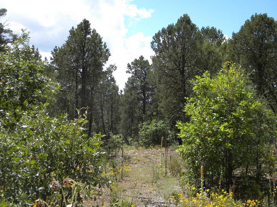 1st image of 1 Eloy Pl