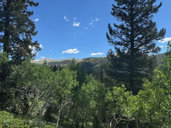 74 Aspen Way, Alma, CO 80420