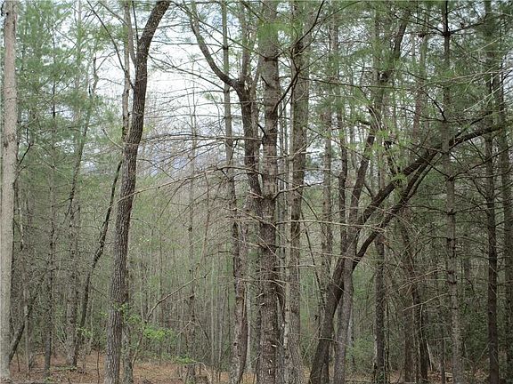 3rd image of E New Hope Rd