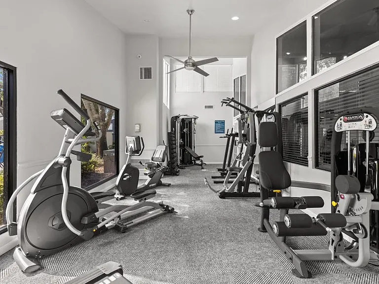 The Pointe at Carrollwood — Photo 19