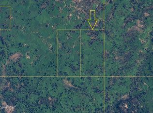 TRACT Loriens Trl #D, Talkeetna, AK 99676