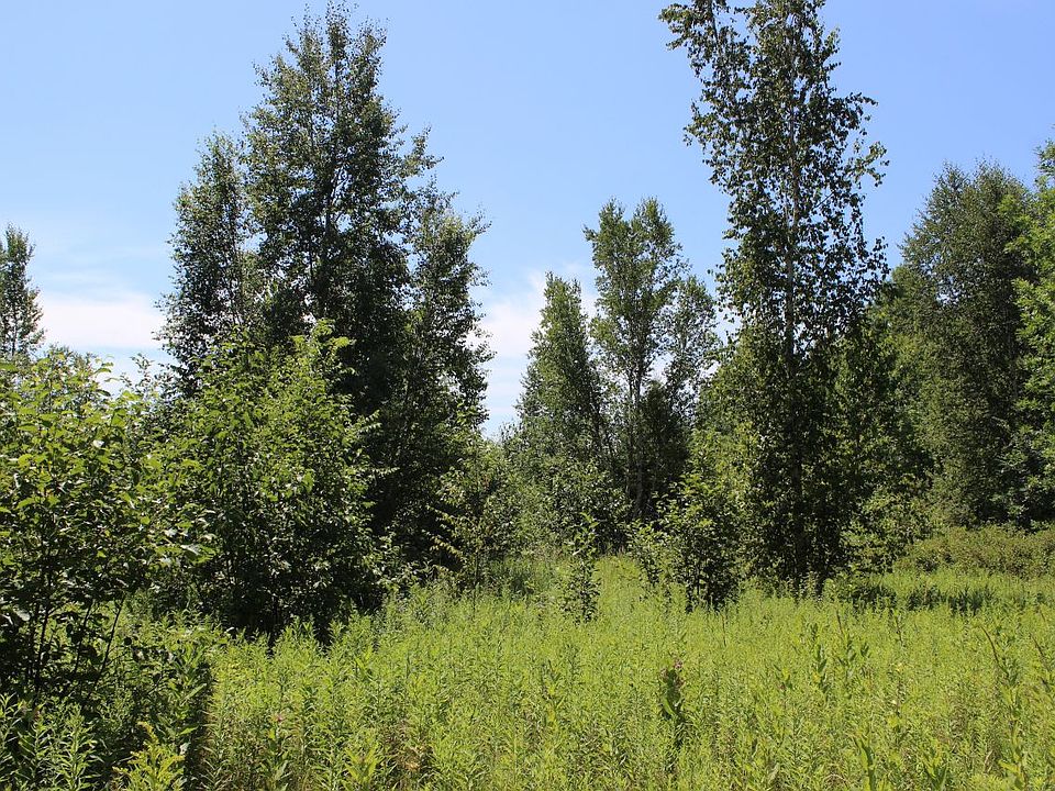 A beautiful meadow that would be a great place for a food plot.