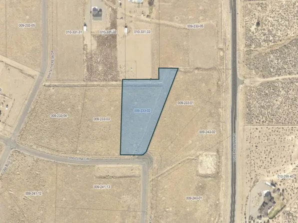 341 Angelina Cir, Wellington, NV 89444