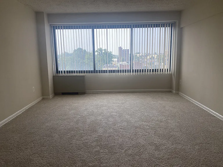 Silver Spring Towers — Photo 16
