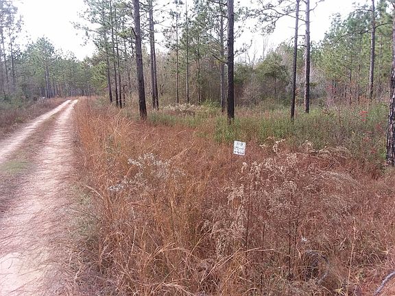 2nd image of Flowers Ln Lot 8