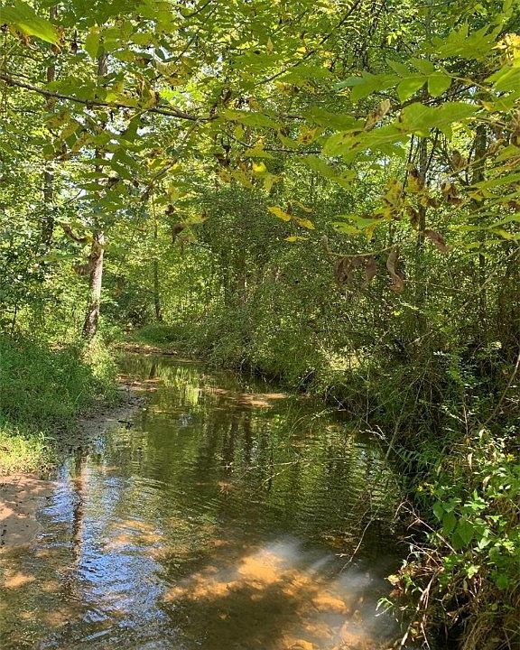 2nd image of 351 Crowe Creek Rd