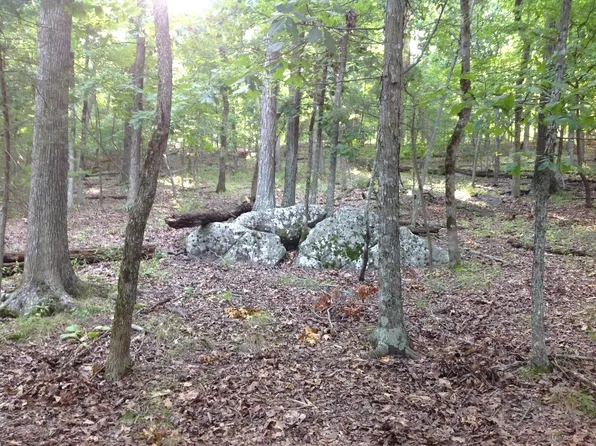 81-82 Oak Leaf Dr #66-67, Garfield, AR 72732