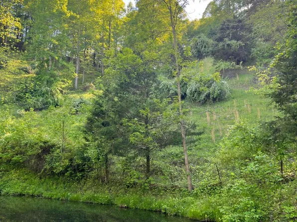 945 Steves Br, Bee, VA 24217