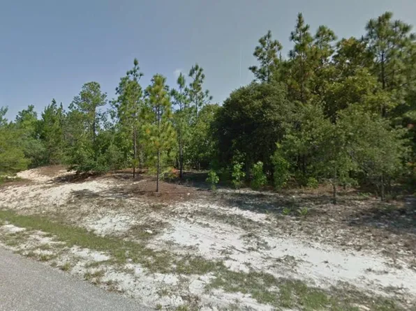 3499 W Webster Pl, Citrus Springs, FL 34433