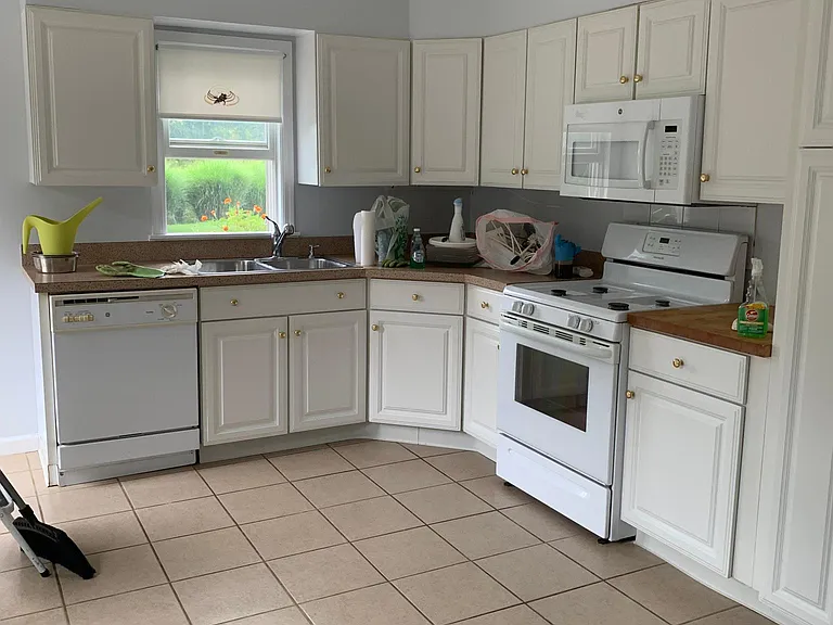 190 Hollow Tree Ridge Rd — Photo 9