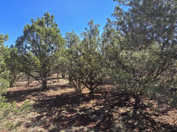 1601 W Wolf Ln, Williams, AZ 86046