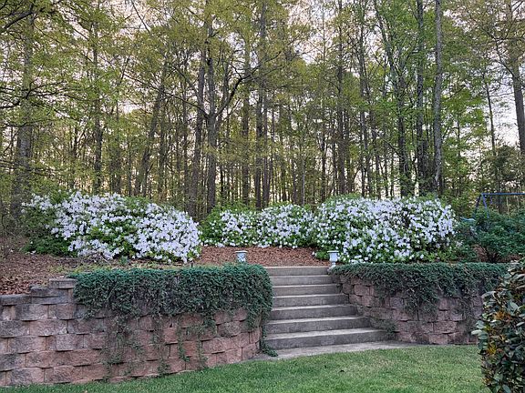 5th image of 206 Solamere Ln