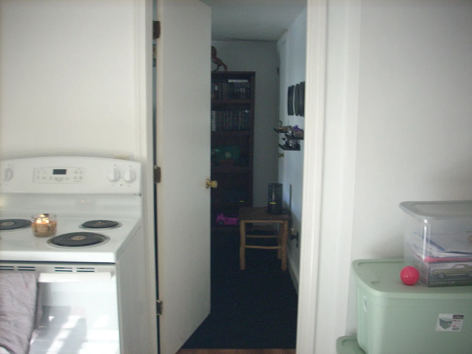 1 bed, 550 sqft, $1,255 — Photo 4